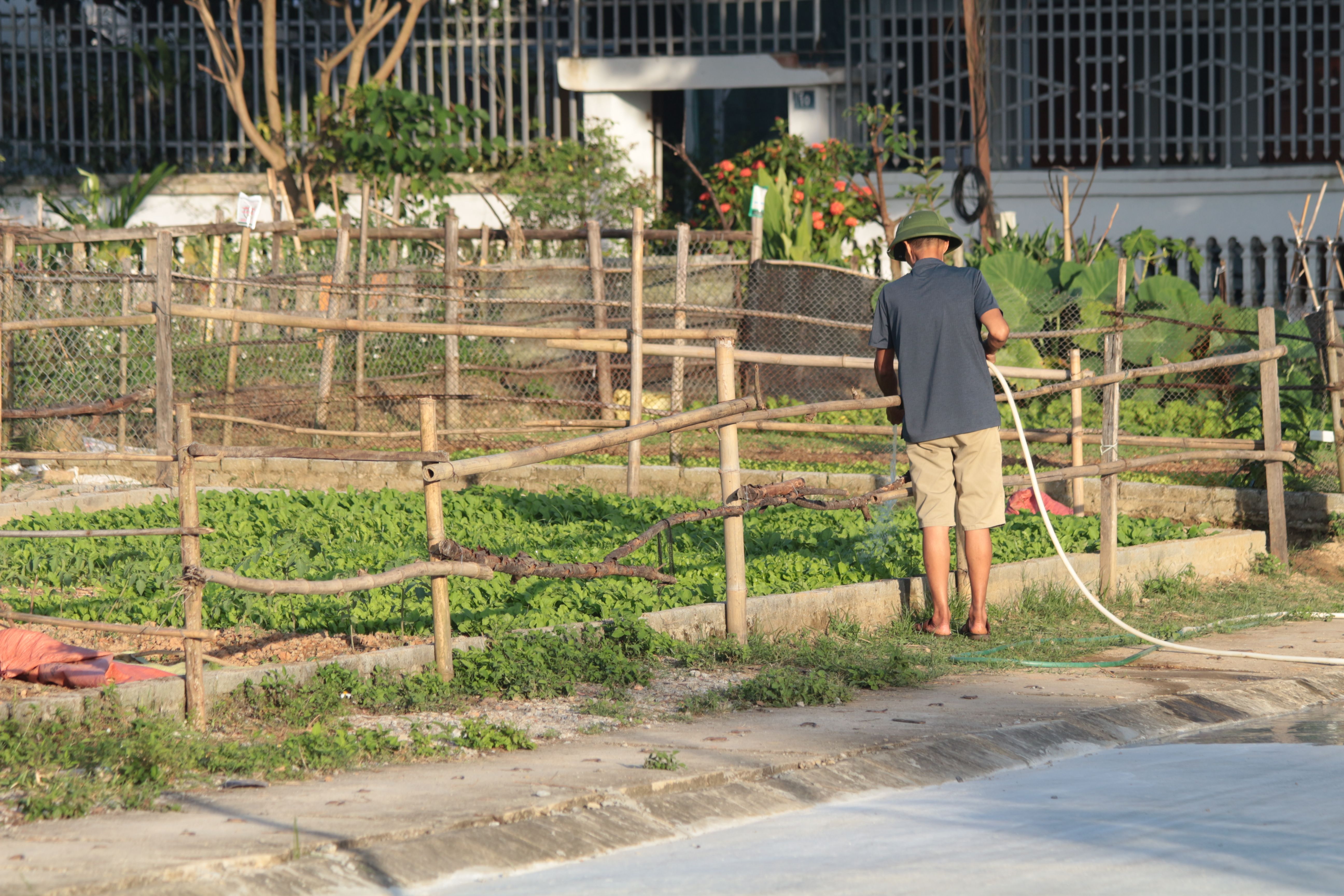 Vegetable Garden Drip Irrigation