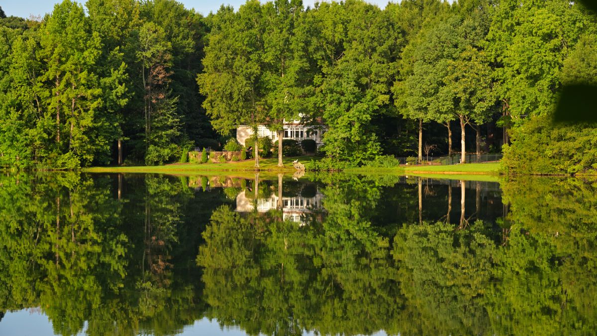 How to Enter Freebies in Raleigh, North Carolina Without Scams