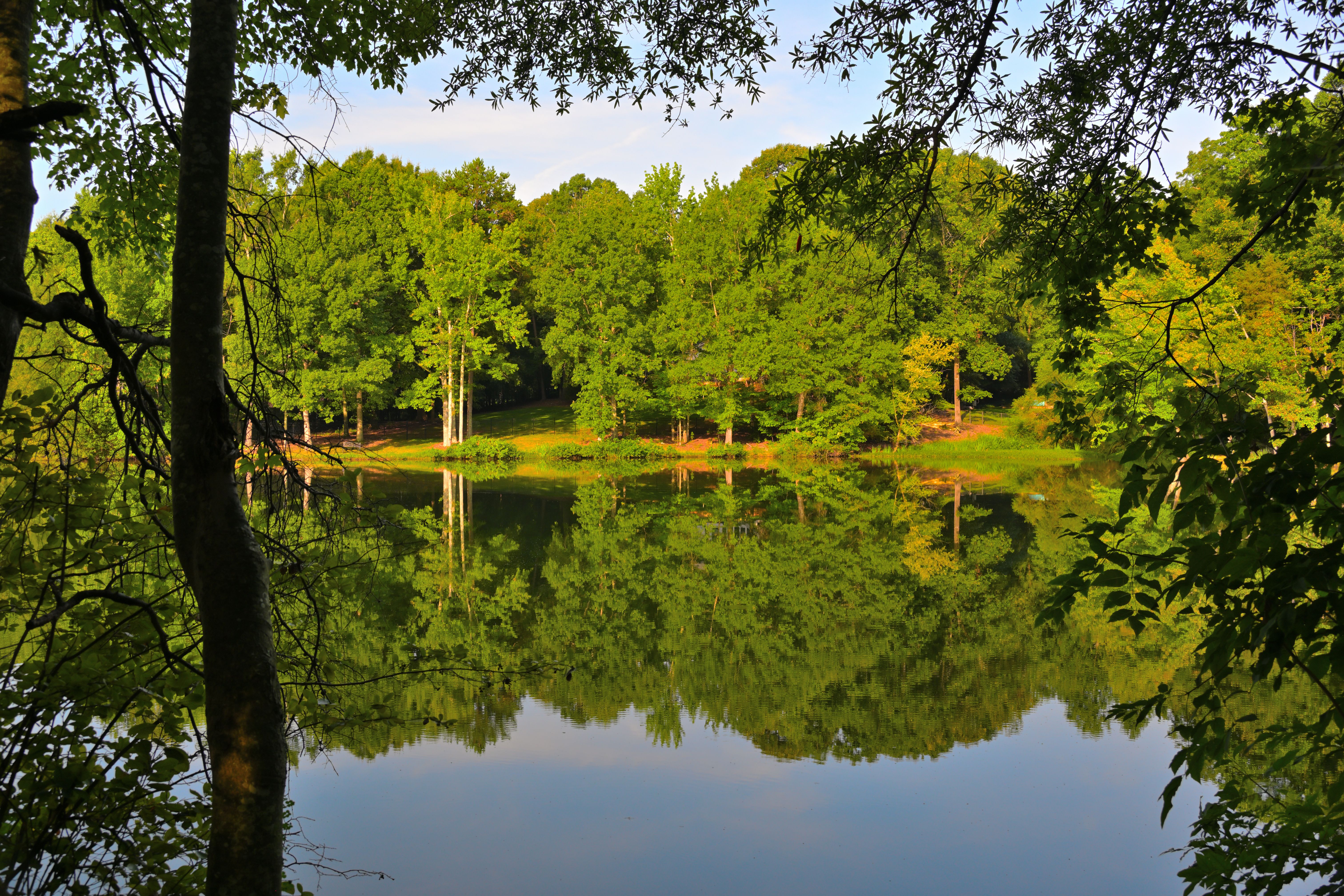 homes for sale in waxhaw nc