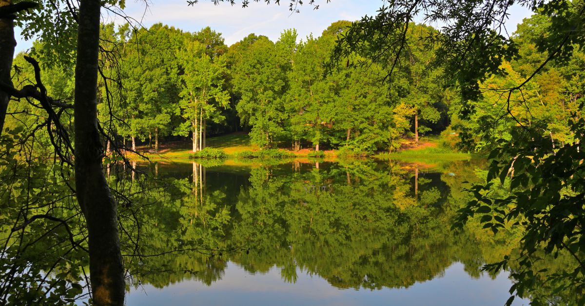 A peaceful view of a forest reflected in a tranquil lake in Waxhaw, North Carolina.