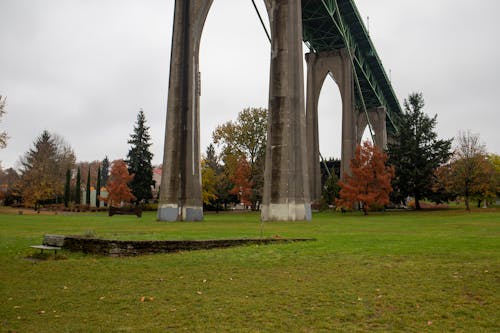 Free stock photo of bridge, catedral park, cloudy