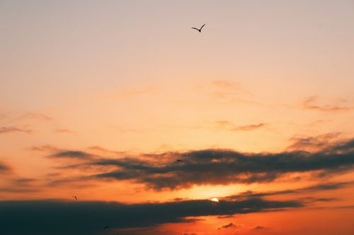 Free A stunning sunset over Samsun, Türkiye with birds flying across a colorful sky. Stock Photo