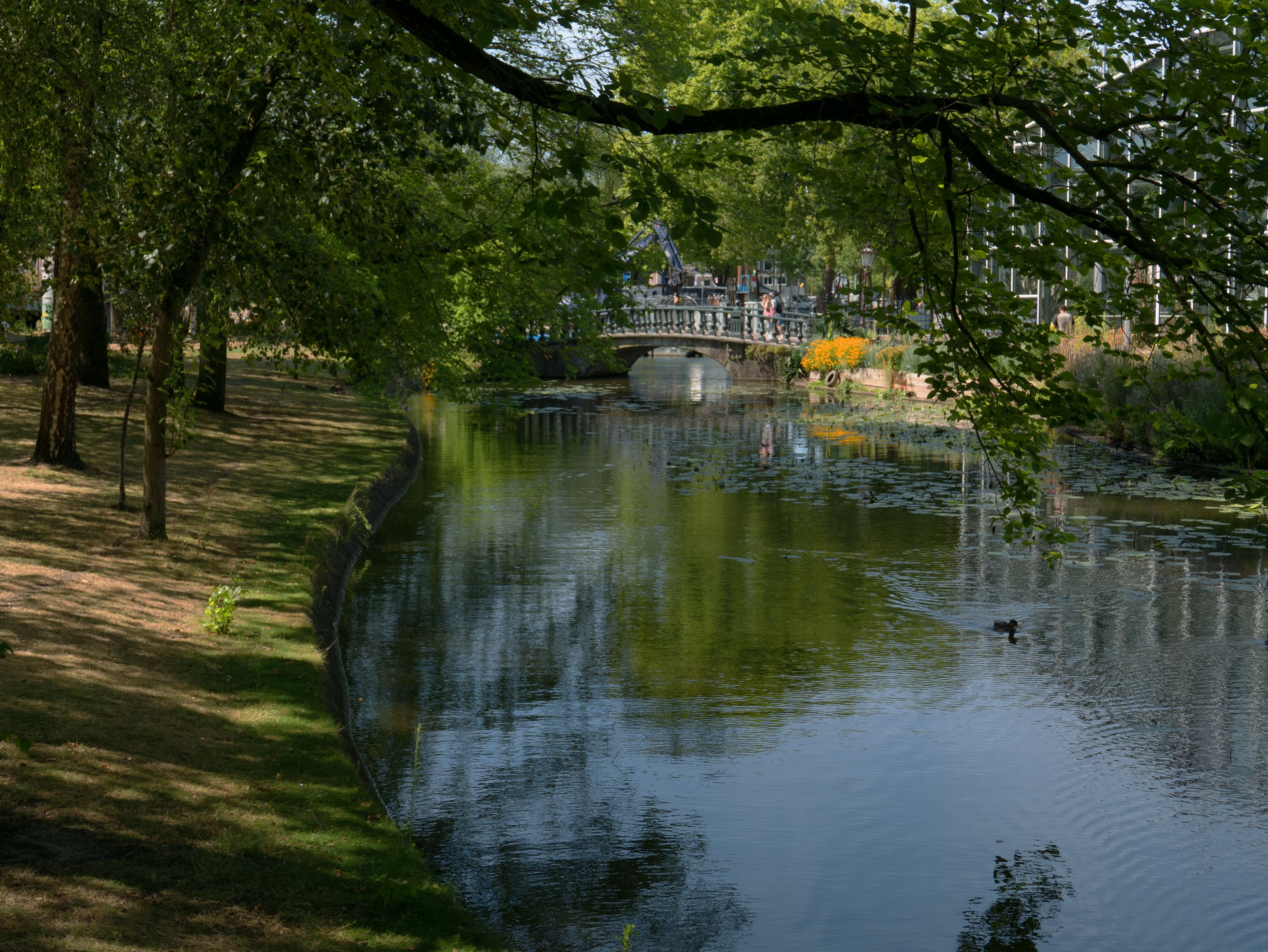 Peaceful Amsterdam canal with green foliage and a historic bridge in summer.