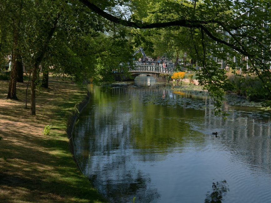 Peaceful Amsterdam canal with green foliage and a historic bridge in summer.