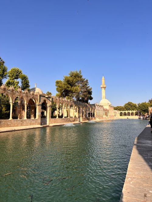Free A serene view of the sacred fish pond with a mosque in Şanlıurfa, Turkey, under a clear blue sky. Stock Photo