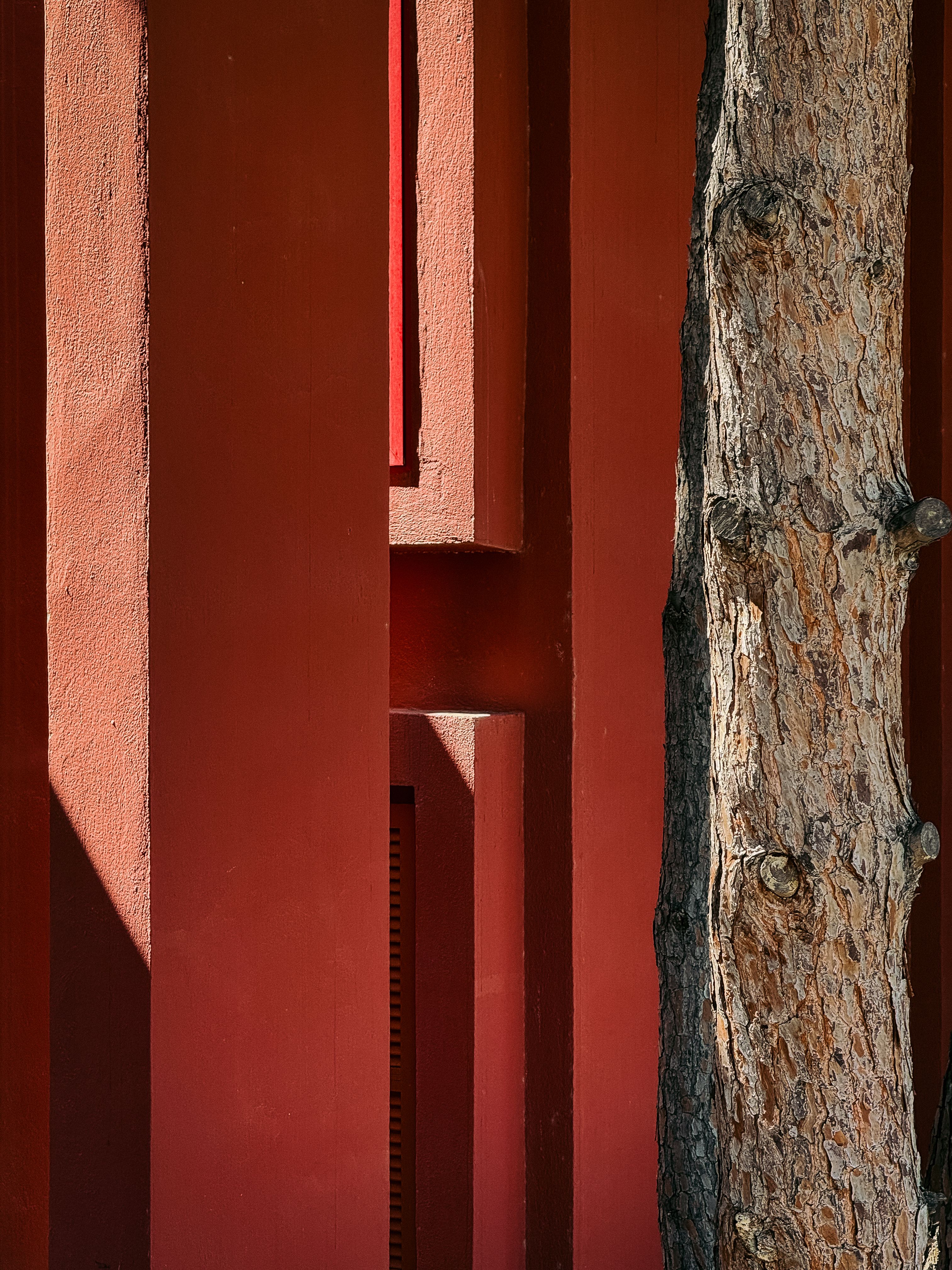Abstract view of La Muralla Roja's red walls and a tree trunk in Calp, Spain.