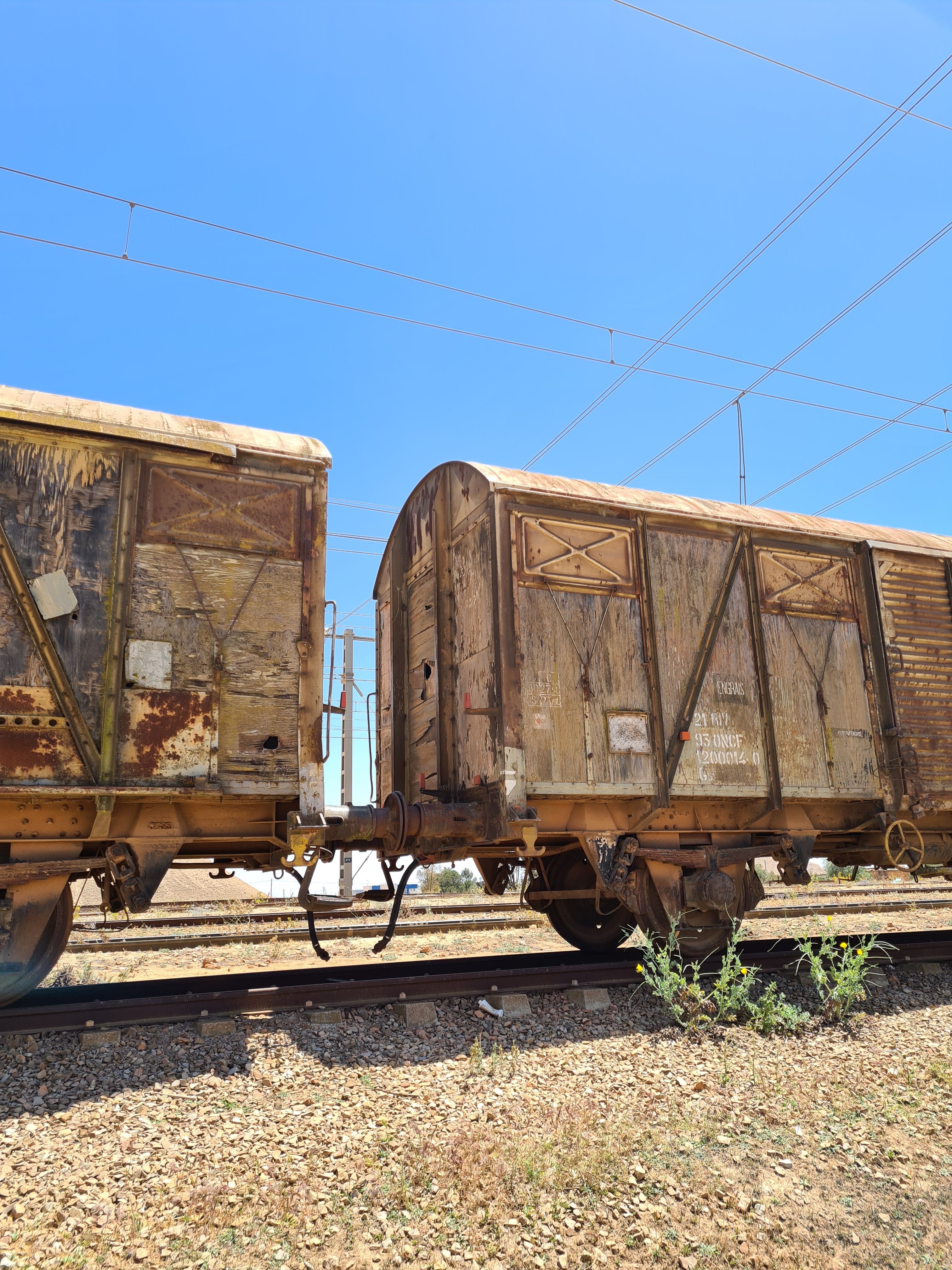Las rutas comerciales que transformaron sociedades y la economía global