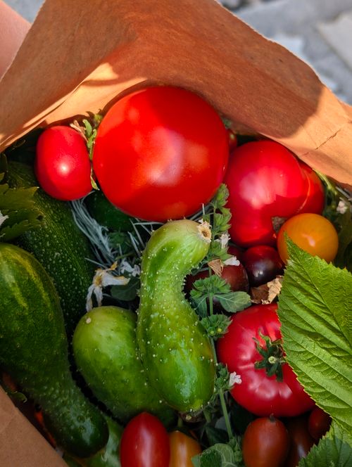 Free A colorful assortment of fresh organic vegetables including tomatoes and cucumbers in a brown paper bag. Stock Photo