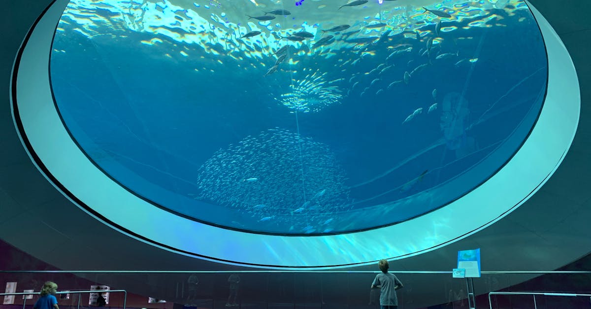 A married couple holding hands in front of a family court building.