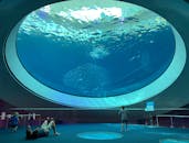 在迈阿密一个大型水族馆的圆顶下，一家人正欣赏着充满活力的海洋生物