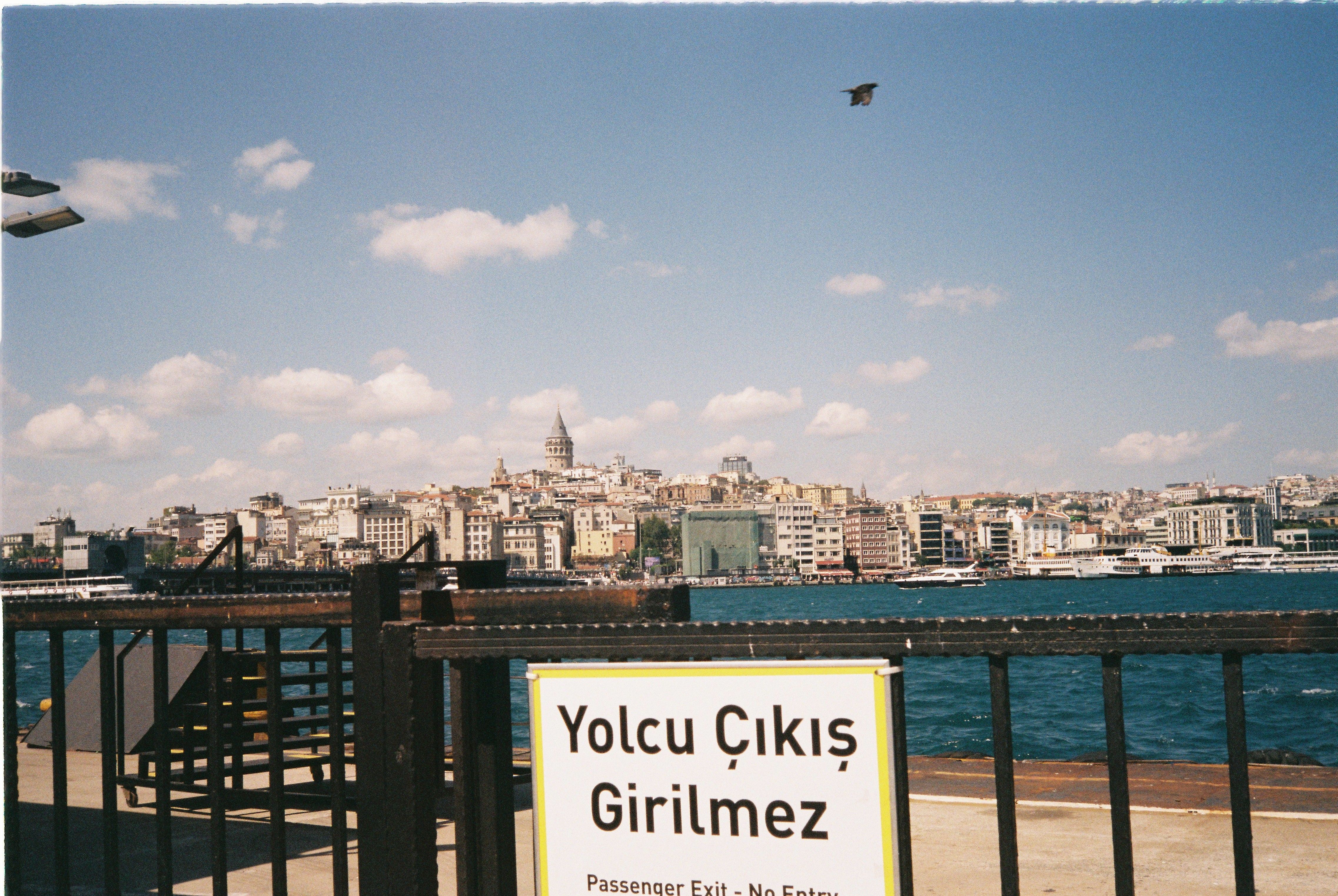 Bilbul