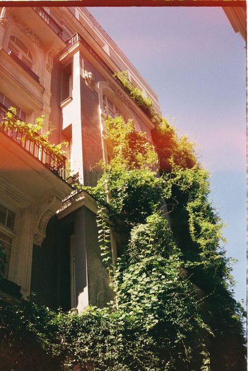 Free A beautiful historic building in İstanbul draped in green ivy under a clear sky. Stock Photo