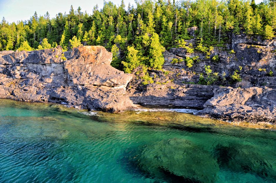 Bear Activity Closes Parts of Bruce Peninsula National Park, a Popular Ottawa Road Trip
