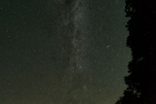 Wald & Himmel im Universum – Prächtige Kosmos-Aufnahme