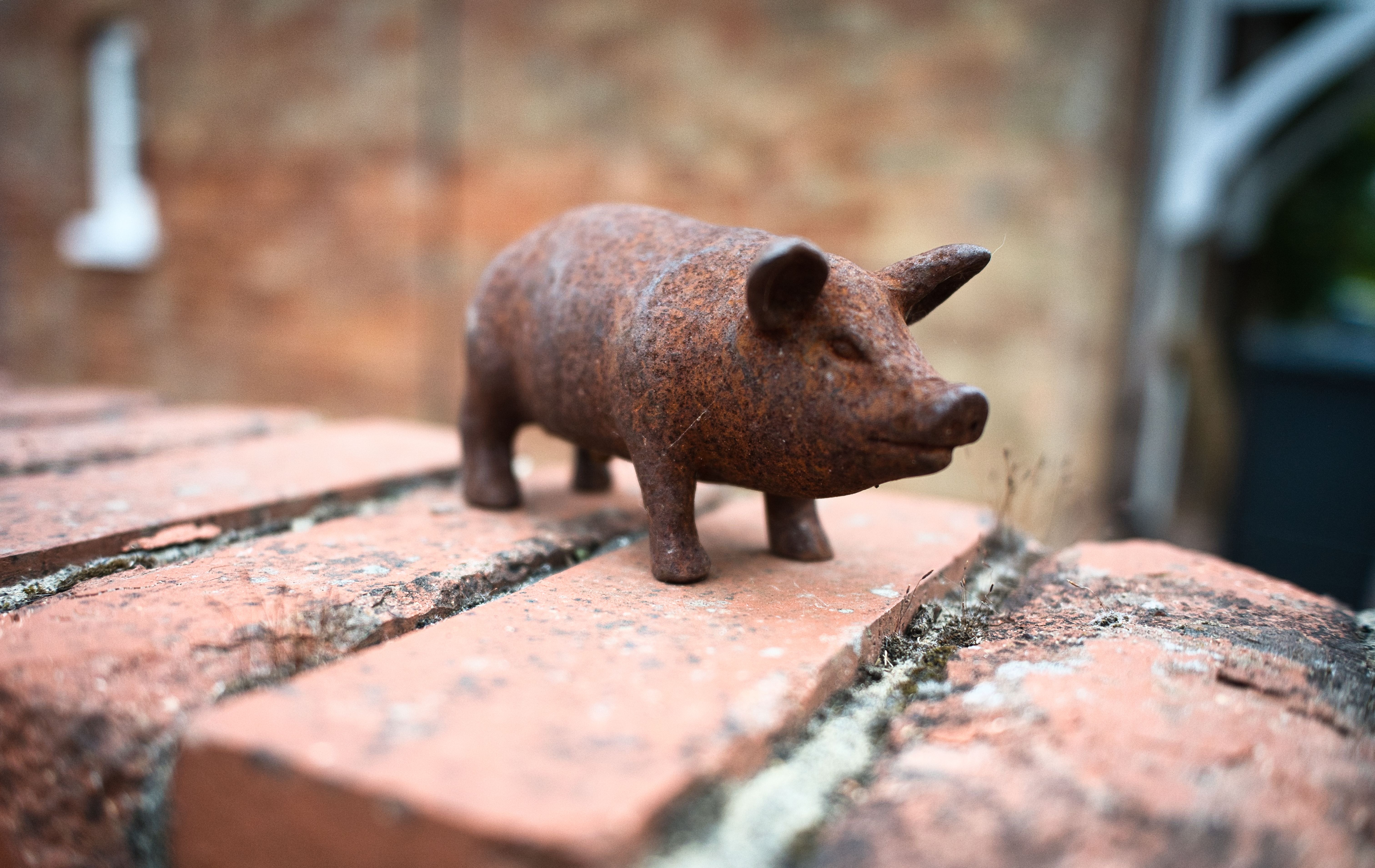 Pig iron and spiegeleisen in pigs, blocks or other primary forms