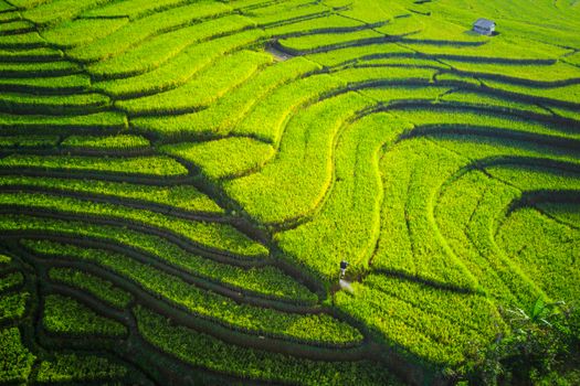 下田, 亚洲遗产, 亚洲风景 的 免费素材图片