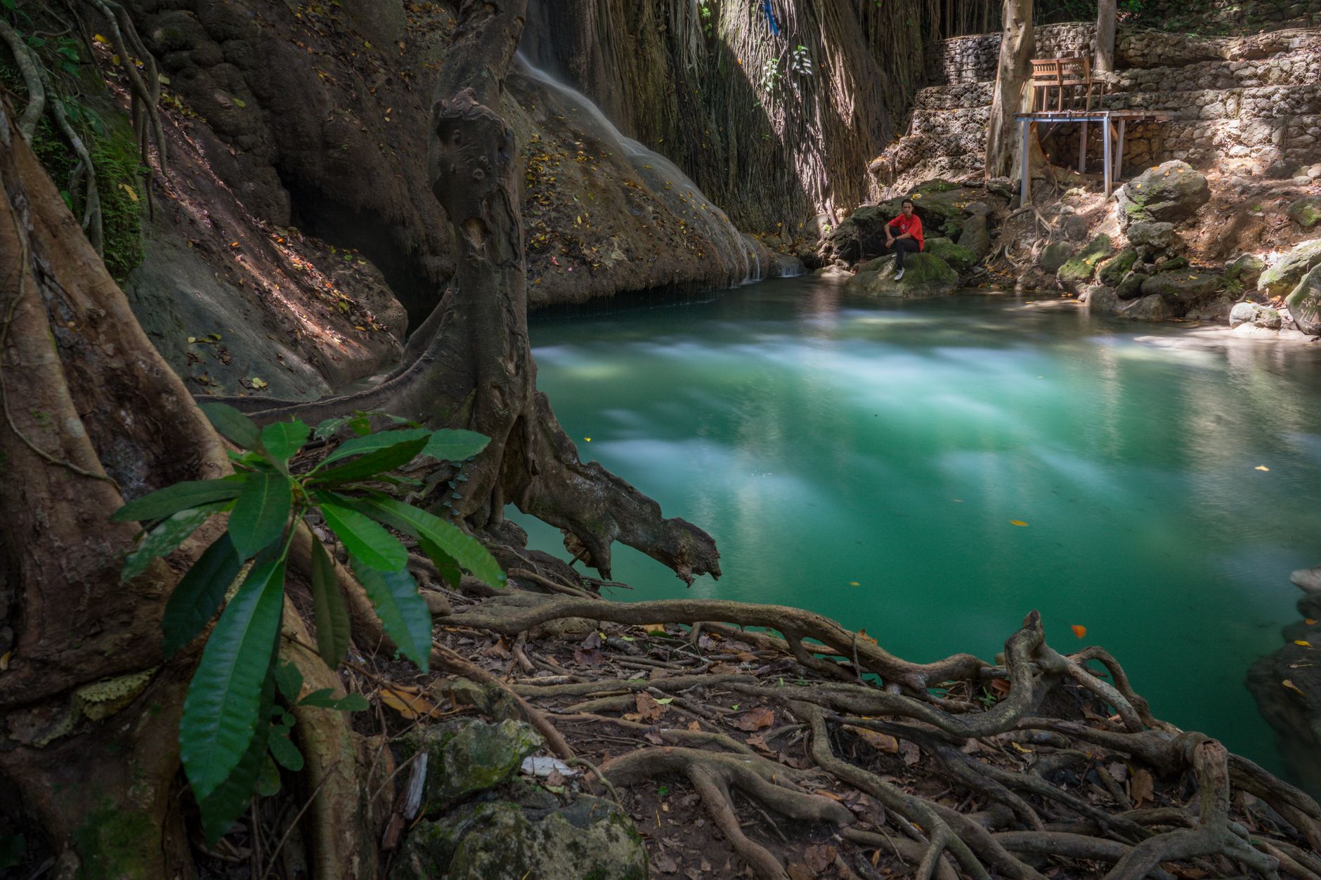 waterfall tropical forest natural pools banyan trees