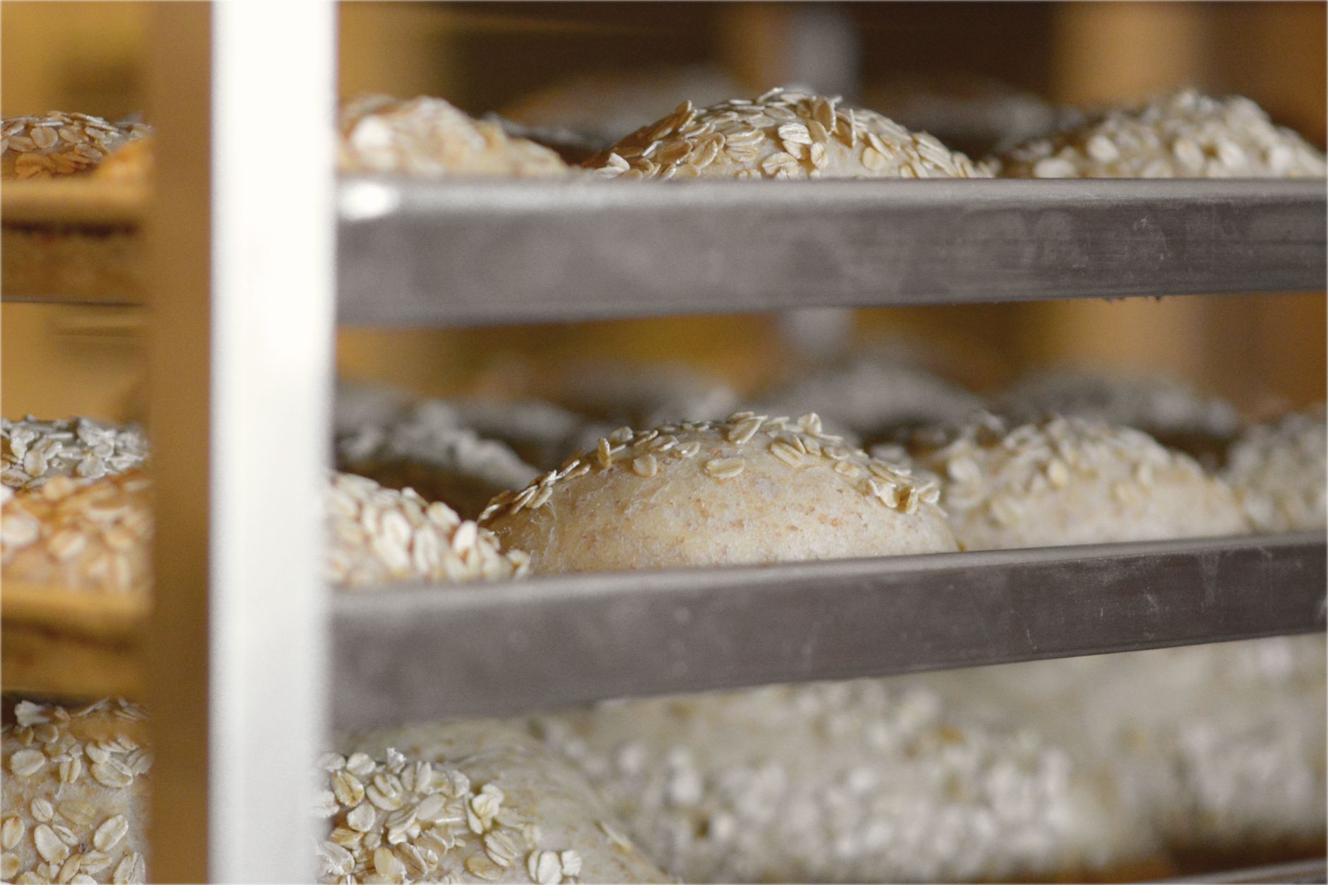 Petits pains dorés aux flocons d'avoine refroidissant sur des grilles dans une boulangerie