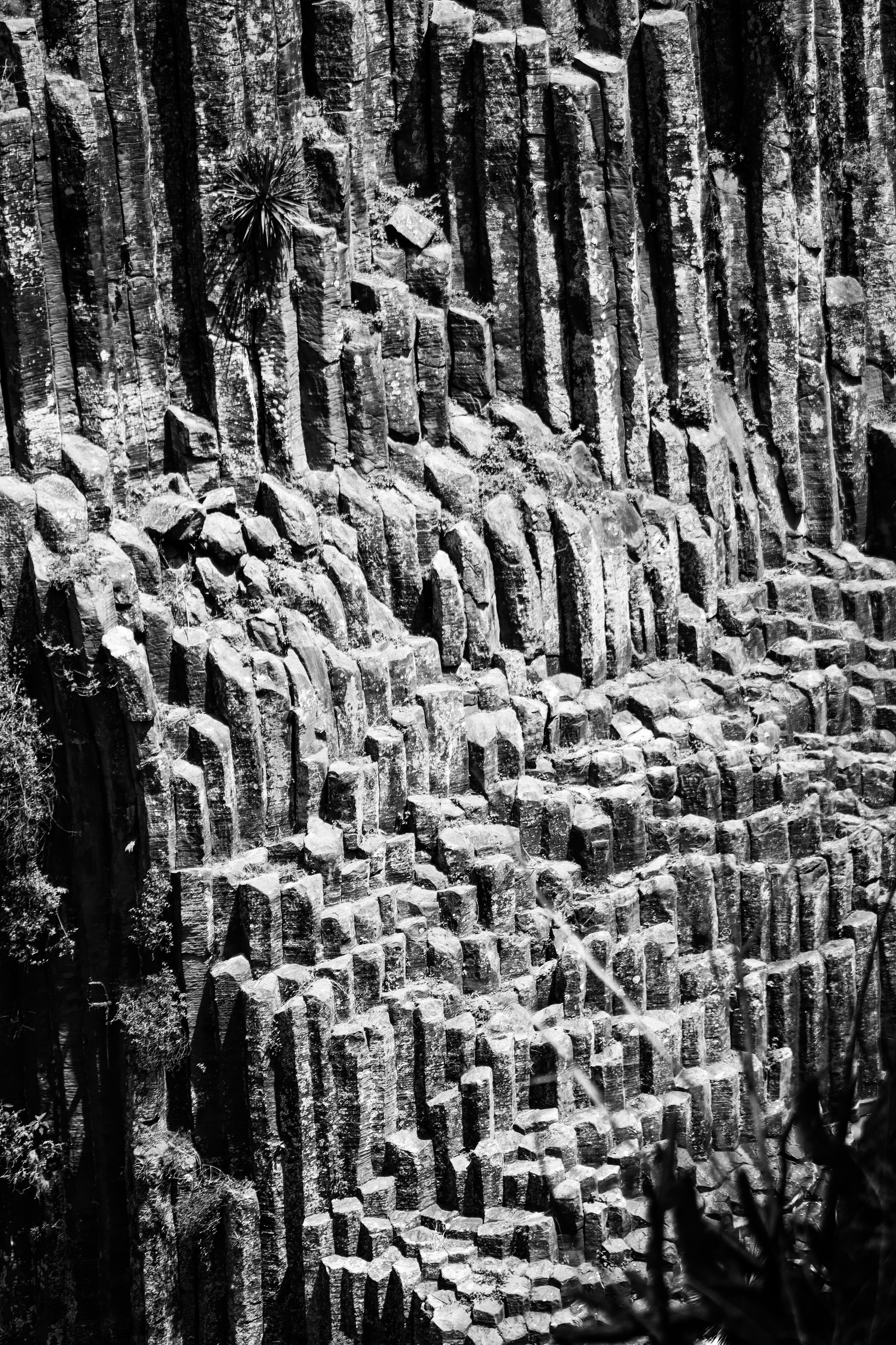 Black and white image of the stunning basaltic prisms in Huasca de Ocampo, Mexico.