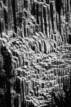 Black and white image of the stunning basaltic prisms in Huasca de Ocampo, Mexico.