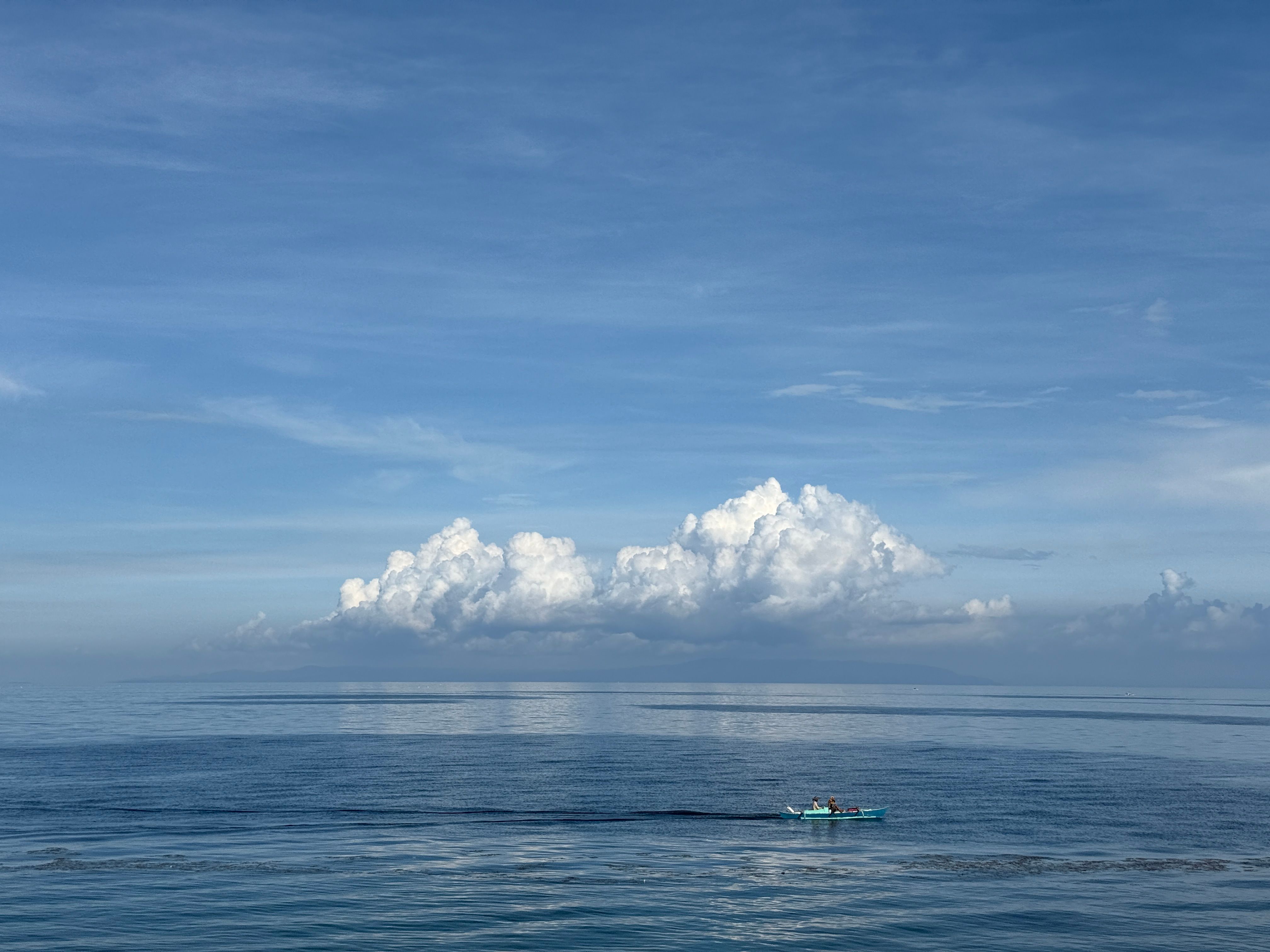 The Sardines Read the Water, Not the Calendar. The Diesel Bill Reads the Same Either Way. post image