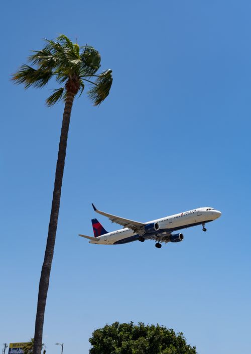 Free Passenger airplane flying low over a palm tree under a bright blue sky, symbolizing travel and adventure. Stock Photo