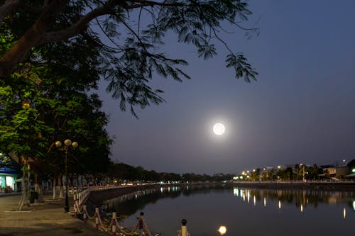 傍晚天空, 城市的燈光, 月亮 的 免費圖庫相片