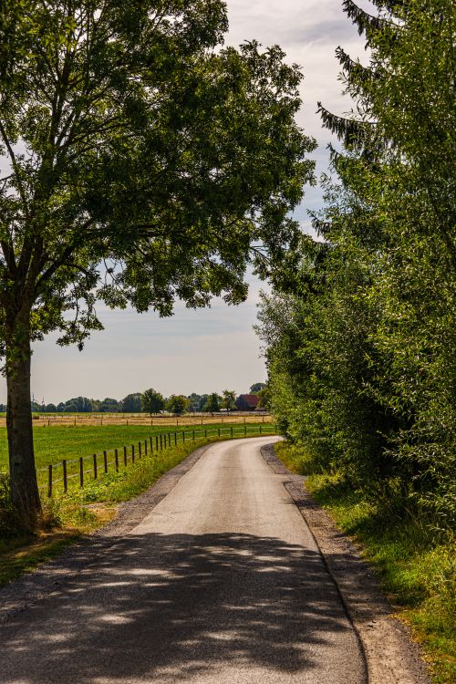 Free A tranquil country road surrounded by lush greenery in Coesfeld, Germany, on a sunny day. Stock Photo