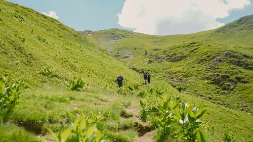 Free A scenic hike through lush green hills in Lëpushë, Shkodër County, Albania, on a sunny day. Stock Photo