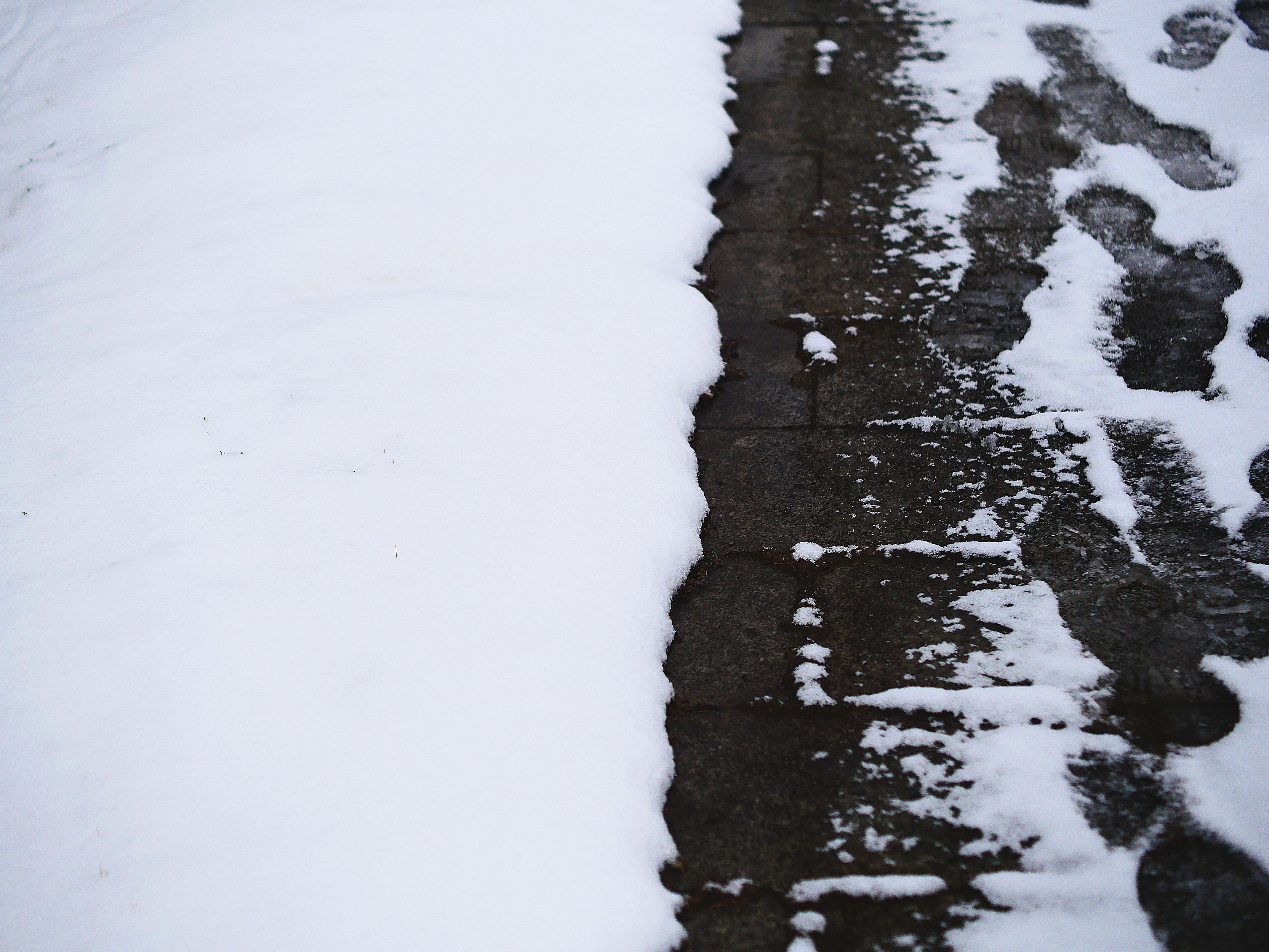 Which Ice Melt Is Actually Safe for Your Concrete (and Your Dog)