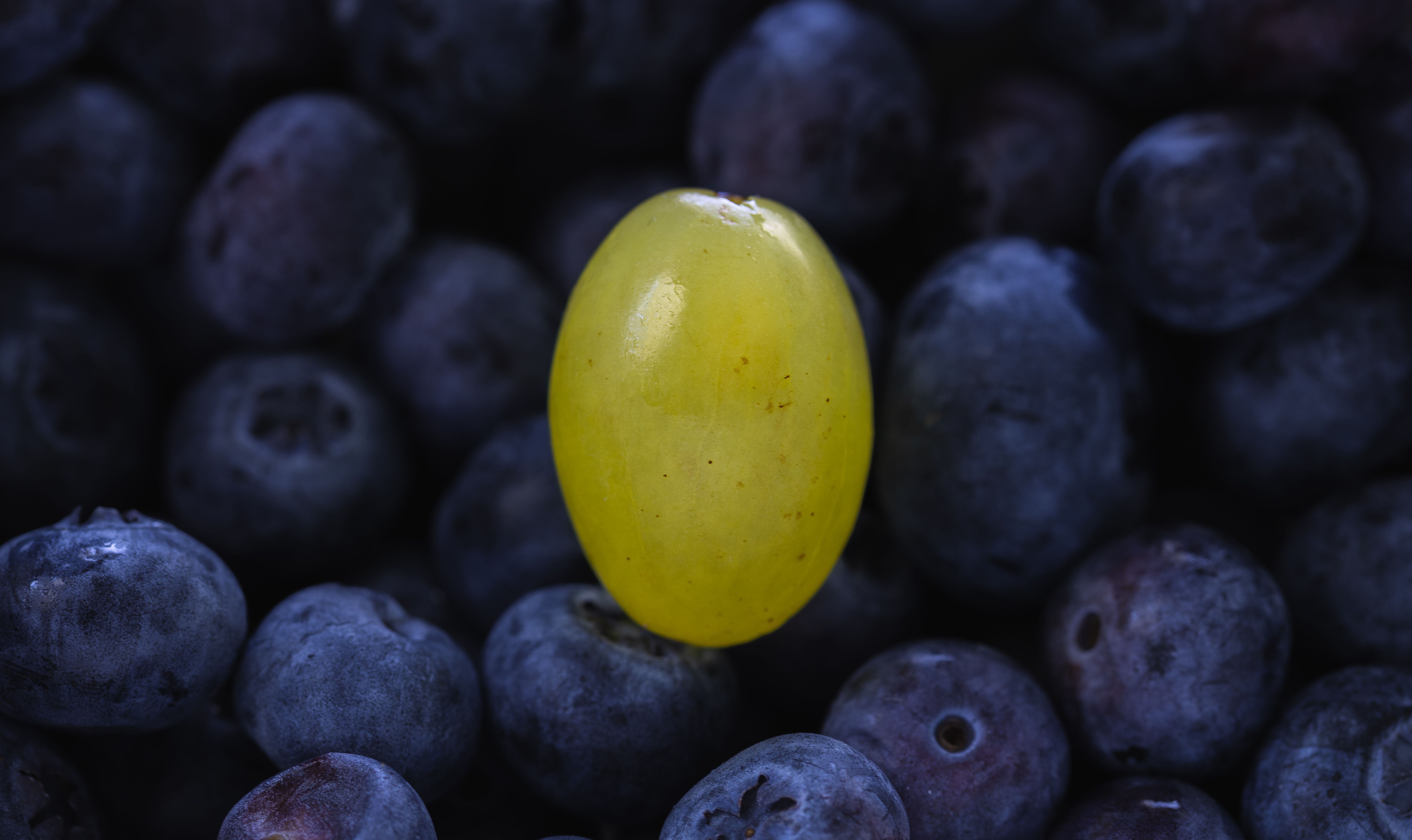 Blueberry Grape Fat Burning Compound
