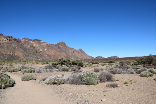 Free Beautiful view of the desert landscape and mountains in Teide National Park under a clear blue sky. Stock Photo