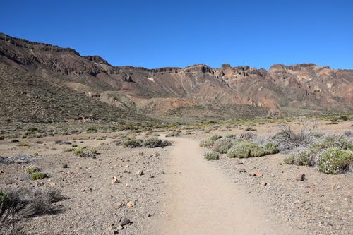 Free A picturesque view of a desert path leading to rugged mountains under a clear blue sky. Stock Photo