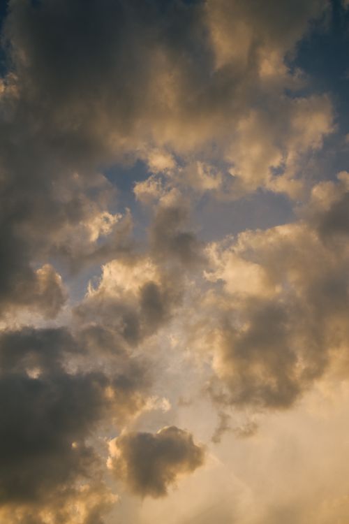 Free A breathtaking view of golden clouds illuminated by a sunset, capturing the sky's dramatic beauty. Stock Photo