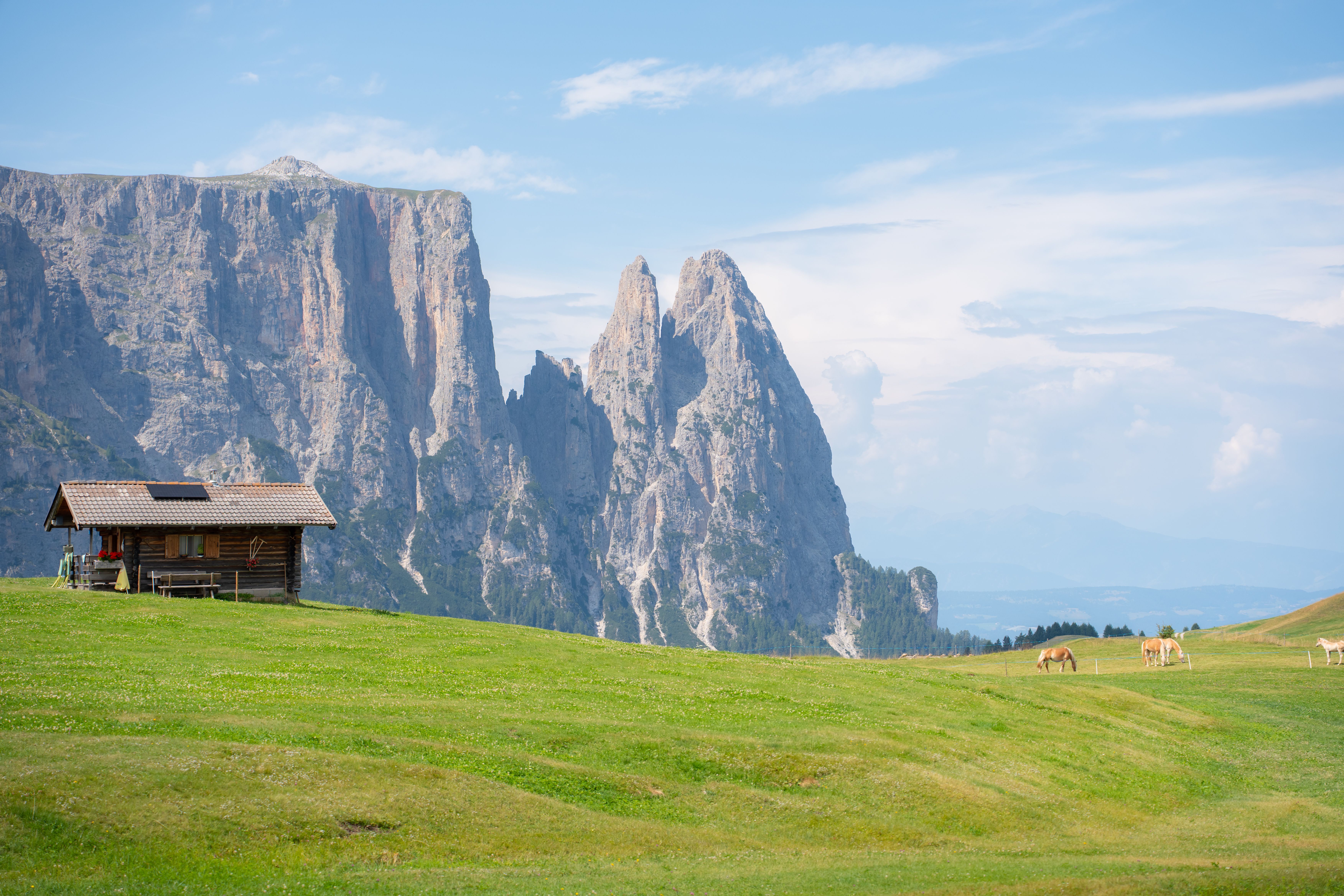 Landscape of Alpe di Siusi featuring lush green pastures and majestic Dolomite mountains, Italy