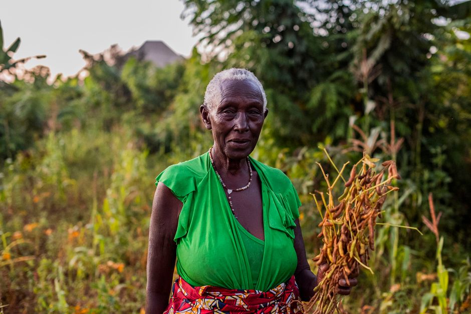 Livelihoods programme