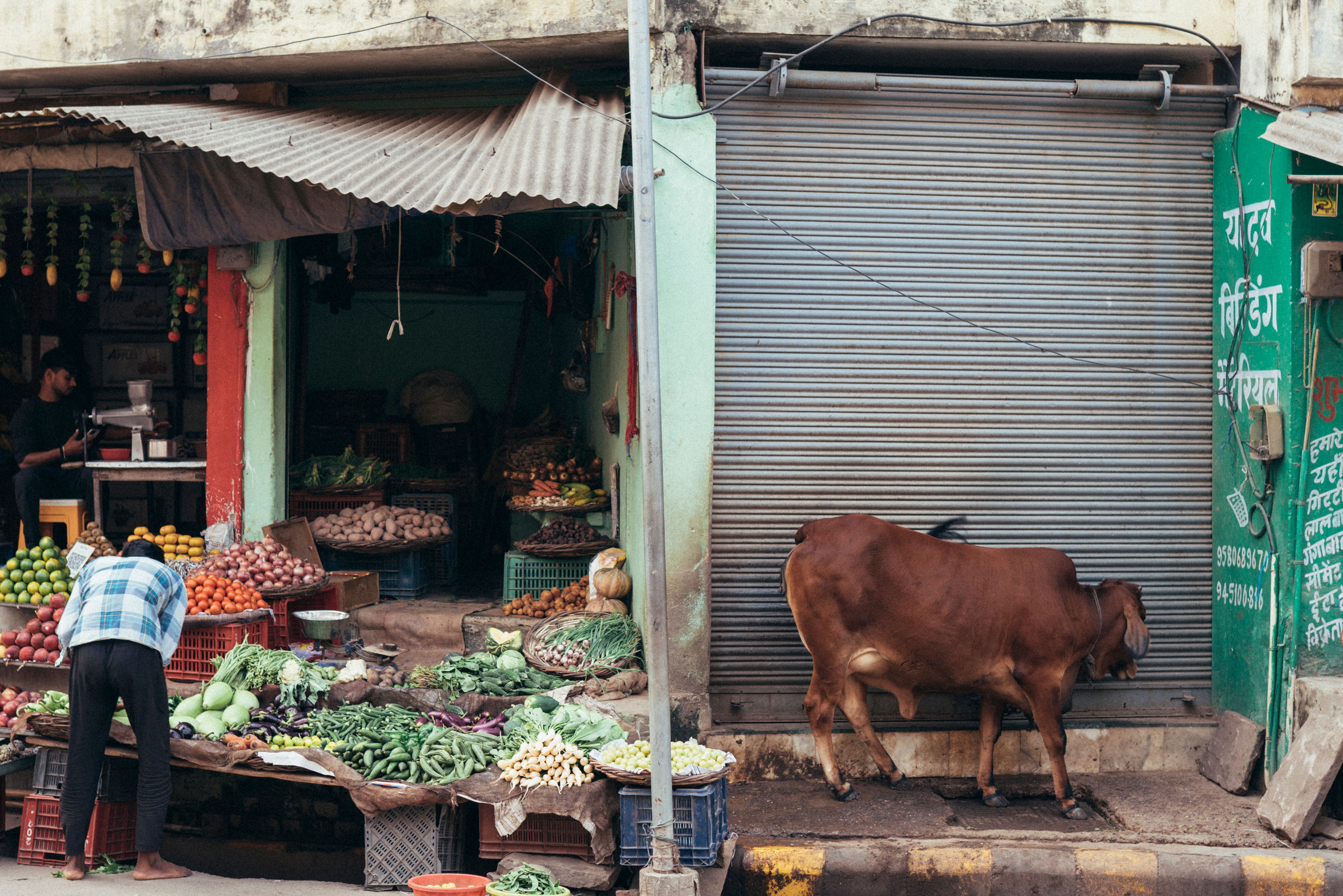 Nagpur travel and vehicle rental photo 1