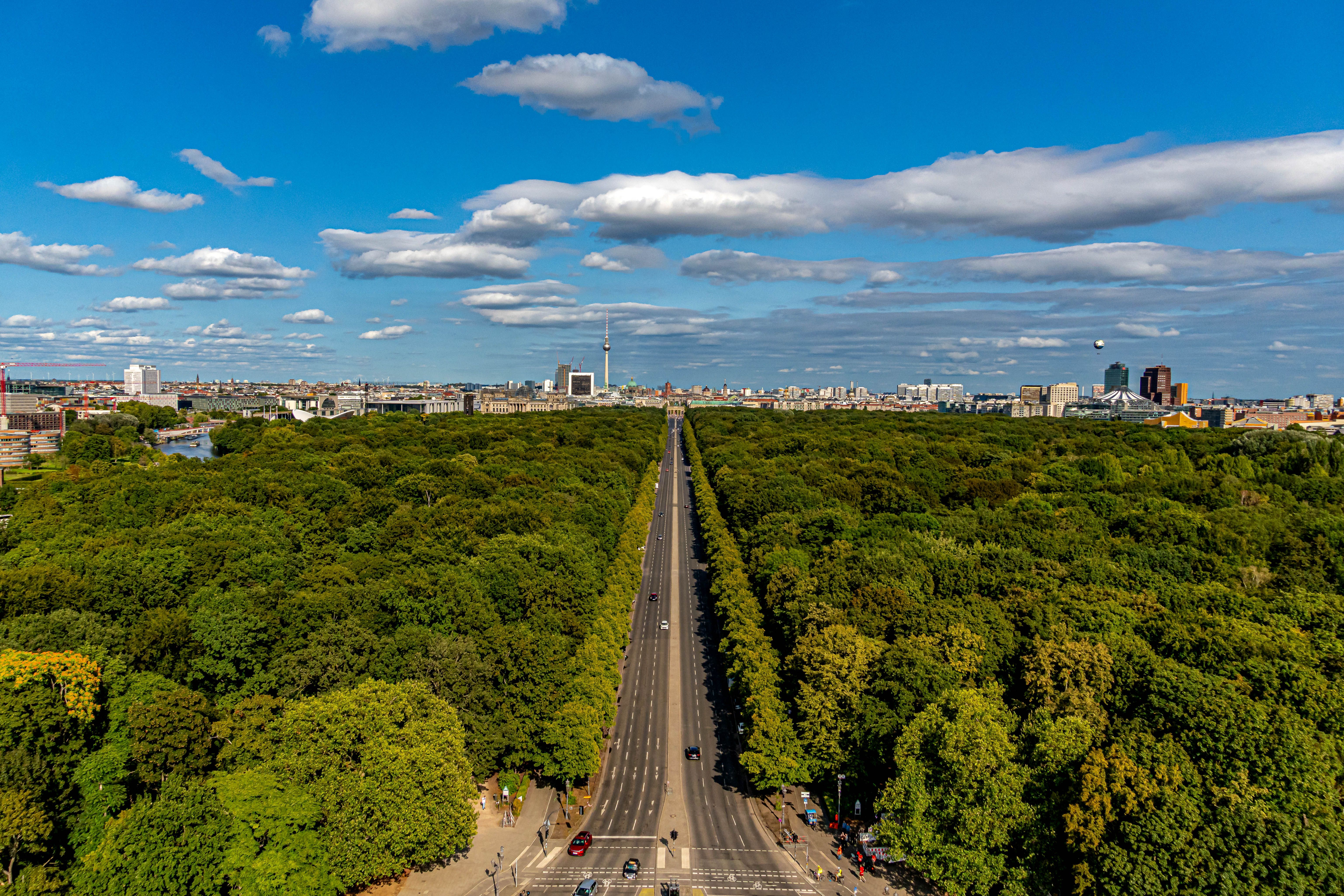 Tiergarten park paths in Berlin