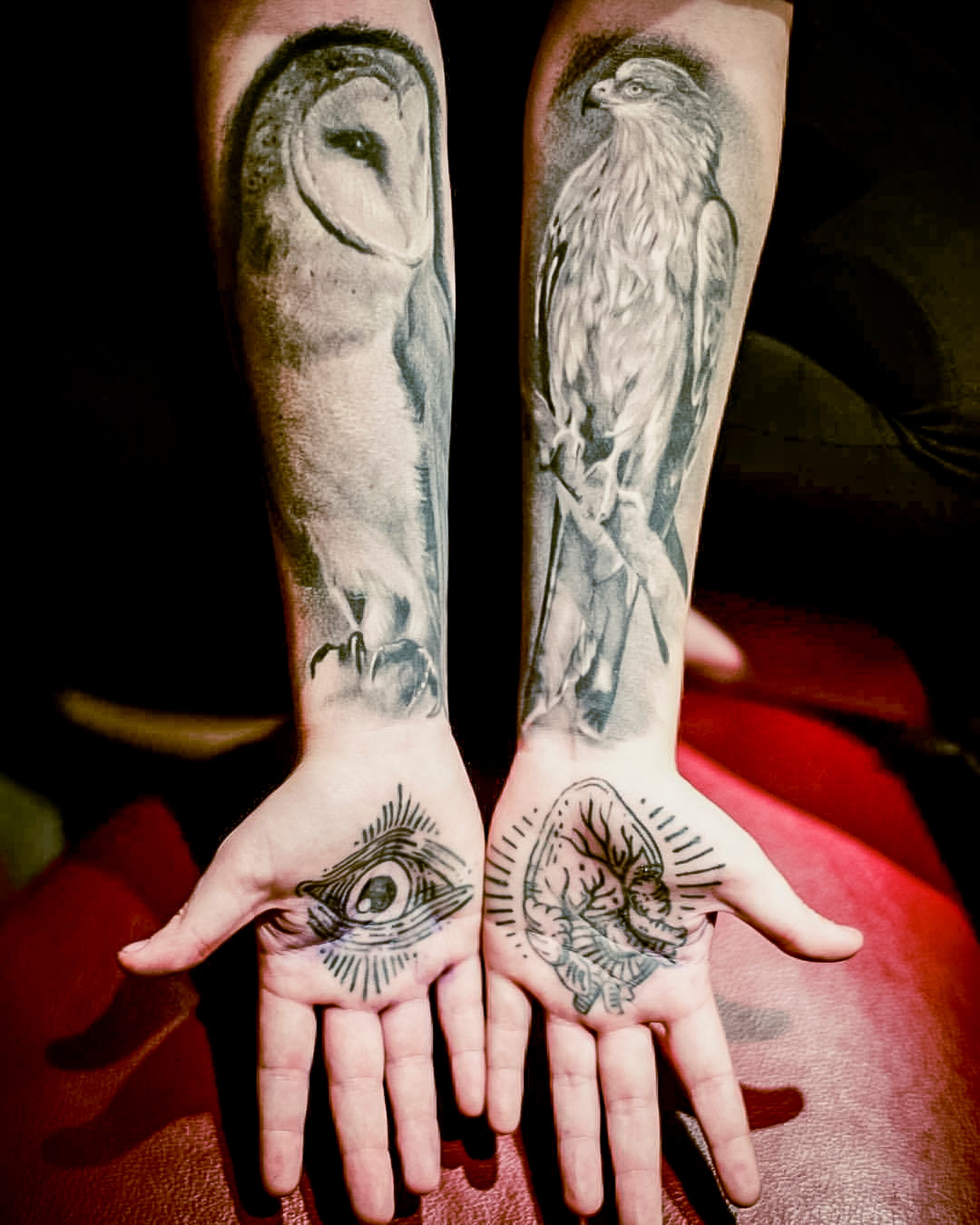 Phoenix rising cover-up tattoo