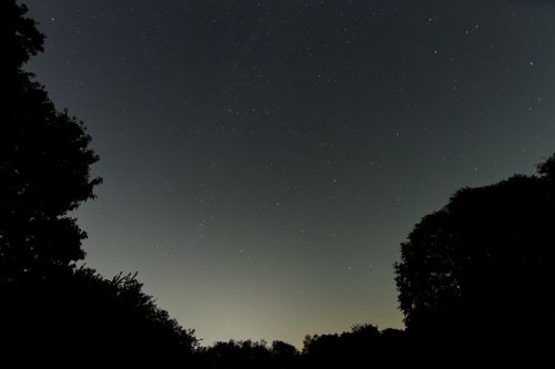 Free A clear night sky filled with stars above darkened tree silhouettes. Stock Photo