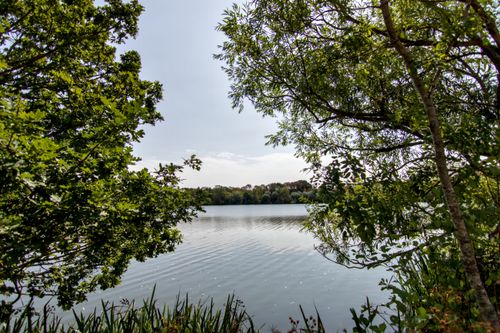 Free Tranquil view of a calm lake framed by lush green trees under a clear sky. Stock Photo