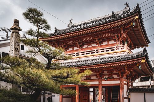 Free Beautiful traditional Japanese temple surrounded by pine trees on Shodoshima Island, Kagawa, Japan. Stock Photo