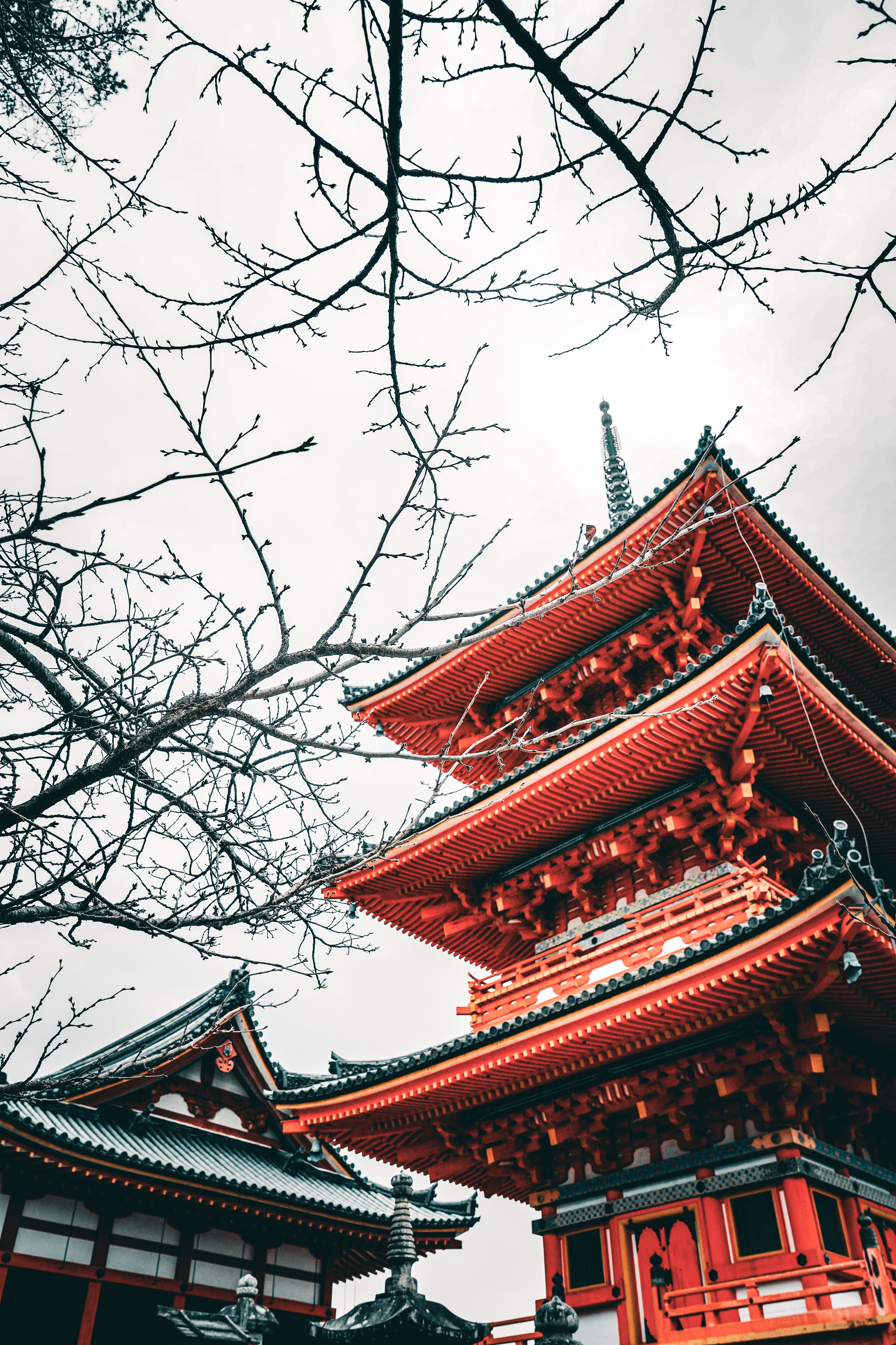 A serene view of a traditional red pagoda in Kyoto, Japan, framed by bare winter branches.
