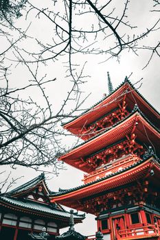 A serene view of a traditional red pagoda in Kyoto, Japan, framed by bare winter branches.