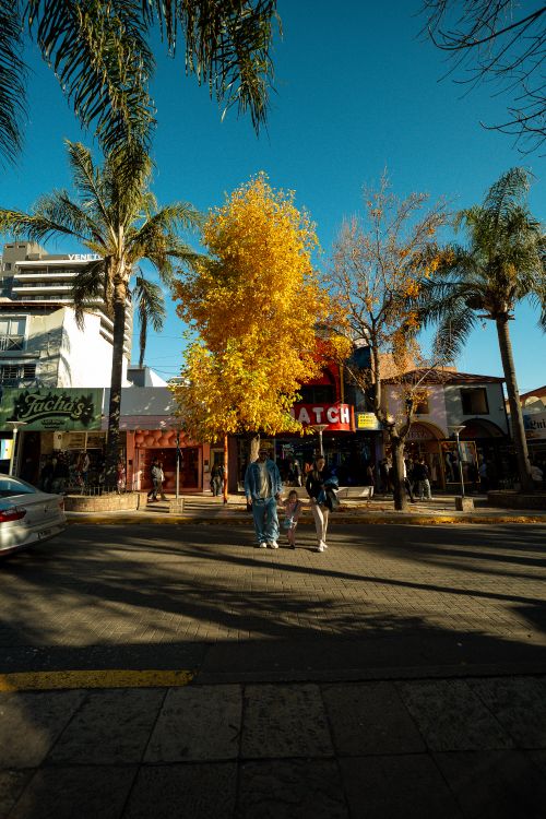 Free Bright autumn day on a lively street in Villa Carlos Paz, Argentina. Stock Photo