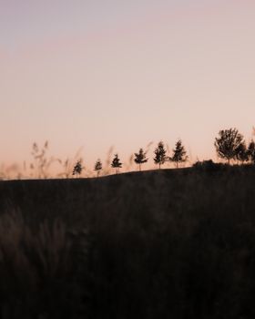 A peaceful twilight scene featuring silhouetted trees on a rolling hill in Austria at sunset.