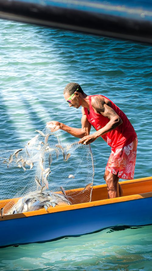 Free Fisherman skillfully handles net as sunlight beams onto the clear blue sea. Stock Photo