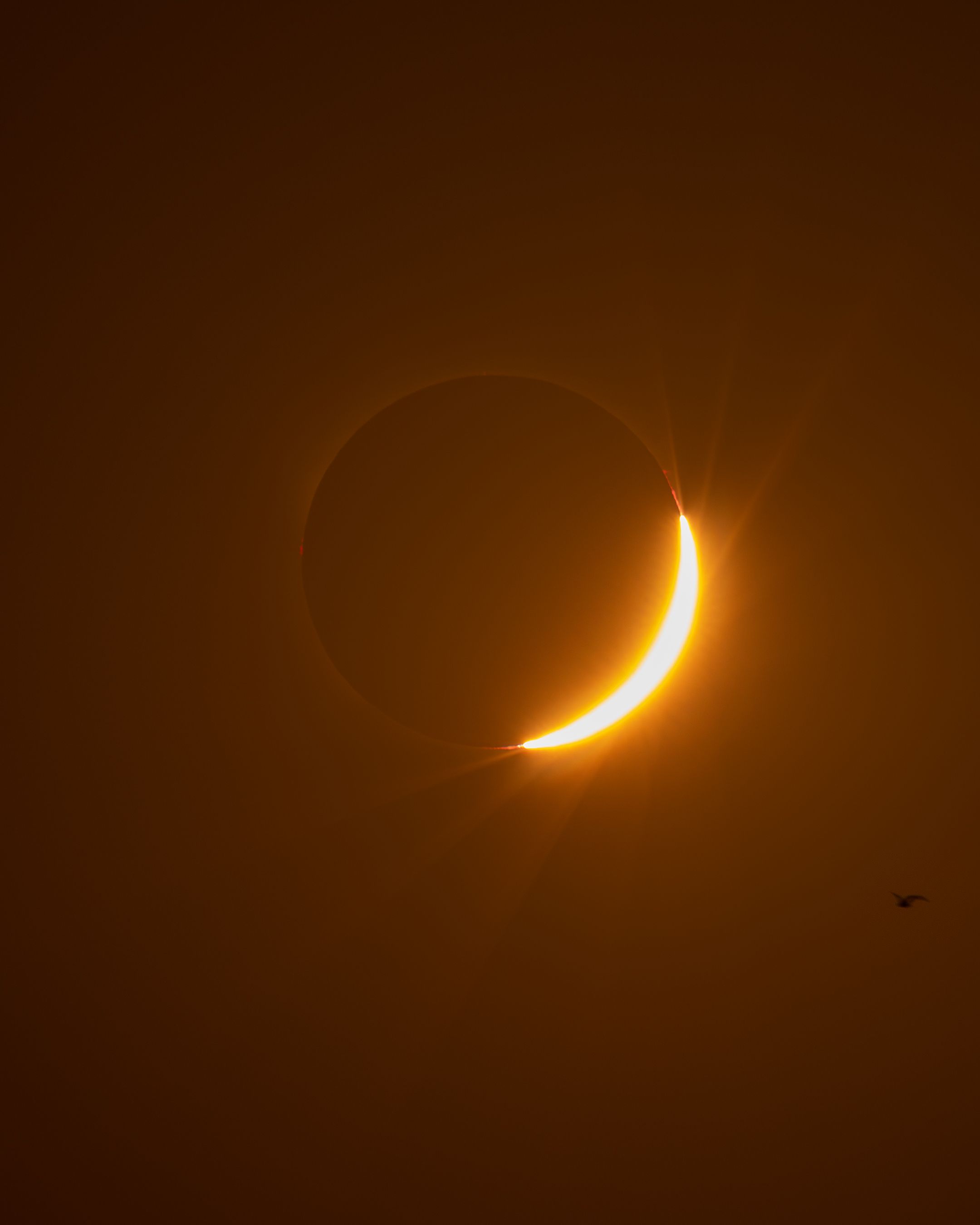 Fotomural Una vista fascinante de un eclipse solar con una brillante media luna, capturada en Grao de Castellón.