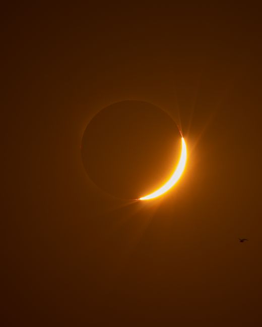 Fotomural Una vista fascinante de un eclipse solar con una brillante media luna, capturada en Grao de Castellón.