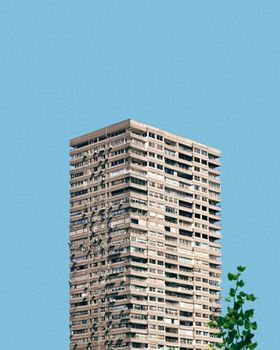 A minimalist photo of a high-rise building with a clear blue sky and tree leaves.